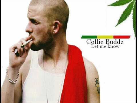 Collie Buddz, Collie Buddz Full Album Zip